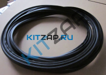 ����������� ������ ����� (��������)  _����_0