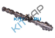 ����������_����_0