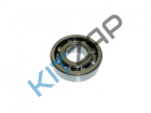��������� ������. ������� ���� ������� ��������� ����� (�� ���� 2��)