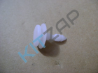 ������ ��������� ������ �1 (����)